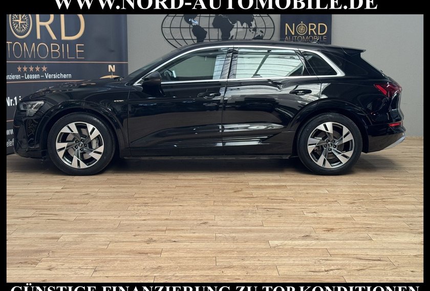 Audi e-tron e-tron 55 S-Line QU. Leder/Matrix/Kamera/20
