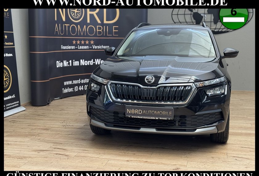 Skoda Kamiq Kamiq Ambition 1.0 TGI G-TEC Navi/LED/Kamera/17