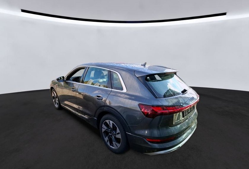 Audi e-tron e-tron 55 QU. S-Line Kamera/Navi/LED/SHZ/20