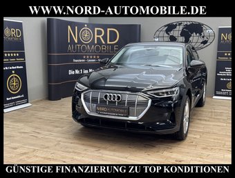 Audi e-tron e-tron 55 QU. Leder/Kamera/Navi/LED/20