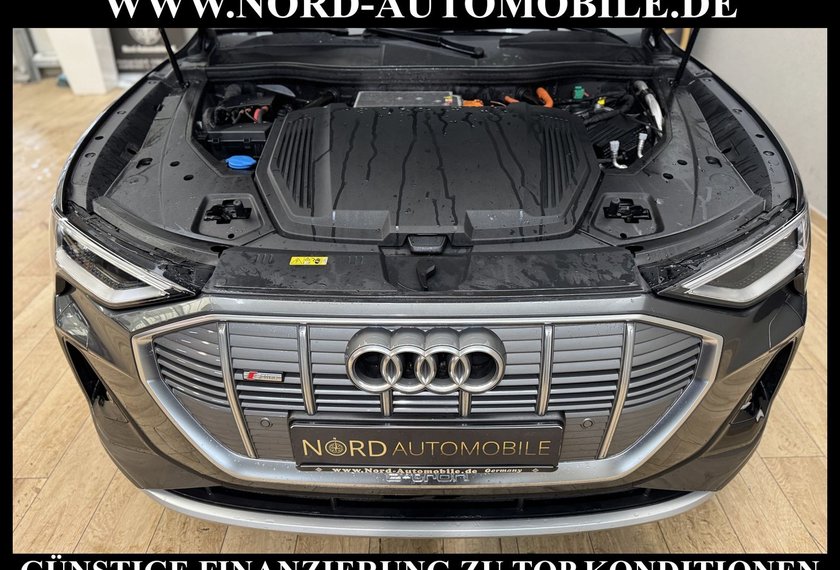 Audi e-tron e-tron 50 S-Line QU. Virt.Cockpit/Kamera/20