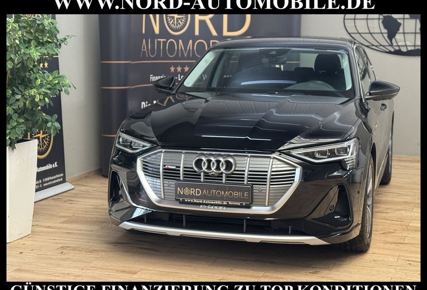 Audi e-tron e-tron 55 S-Line QU.Leder/Matrix/B&amp;O/Kamera/20