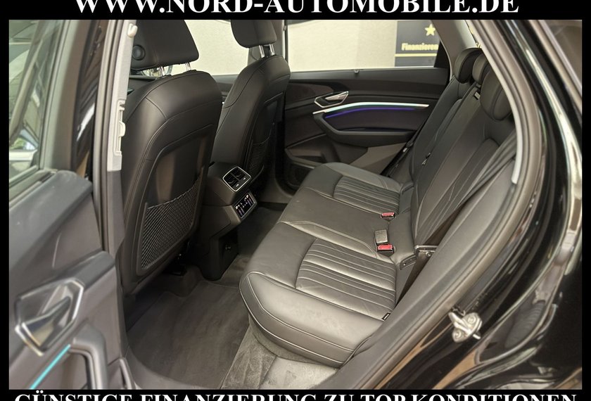 Audi e-tron e-tron 55 S-Line QU.Leder/Matrix/B&amp;O/Kamera/20