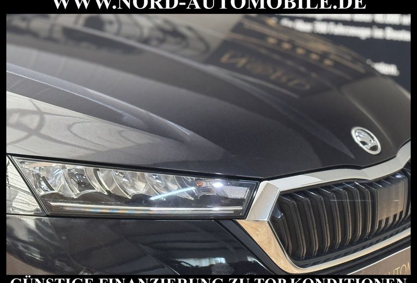 Skoda Octavia Octavia Combi 2.0 TDI DSG Kamera/Navi/LED/ Ambit