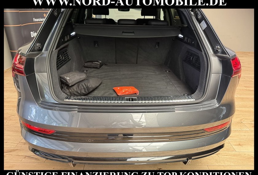 Audi e-tron e-tron 55 QU.S-Line Leder/Kamera/B&amp;O/21/Leder