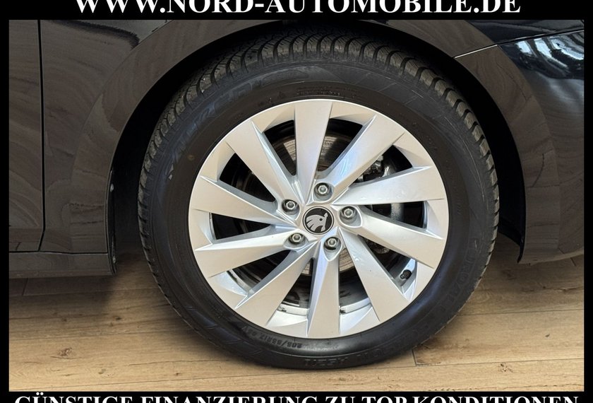 Skoda Octavia Octavia Combi TDI DSG SELECTION LODGE *360*AHK*