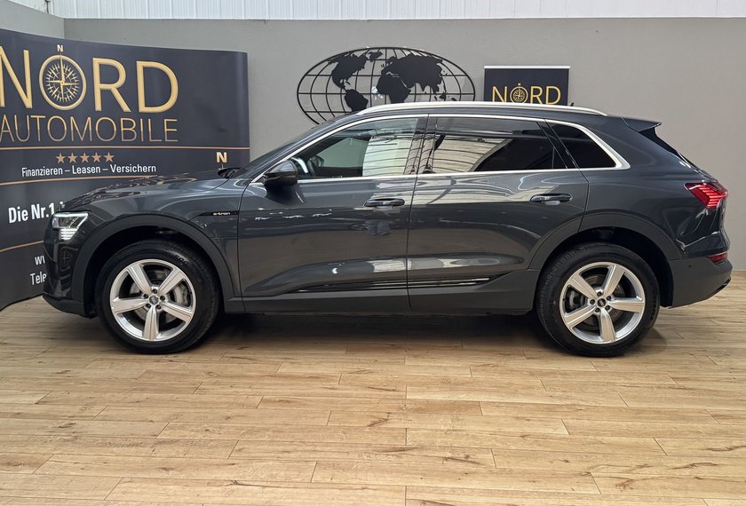 Audi e-tron e-tron 50 QU.Teilleder/Matrix/B&amp;O/ACC/Kamera