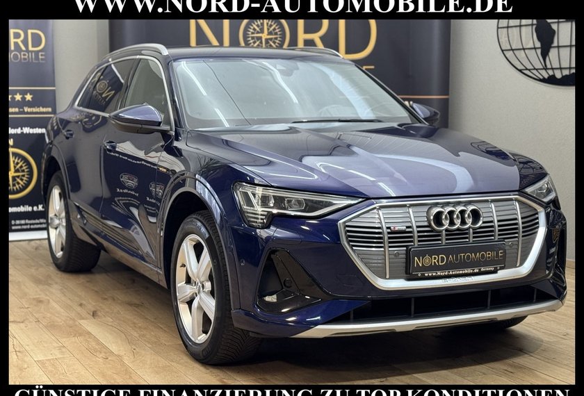 Audi e-tron e-tron 55 QU.S-Line Head-Up/Matrix/Side&amp;Lane/20