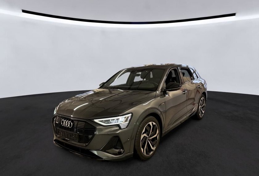 Audi e-tron e-tron 55 QU.S-Line Optik schwarz Pano/AHK/21/