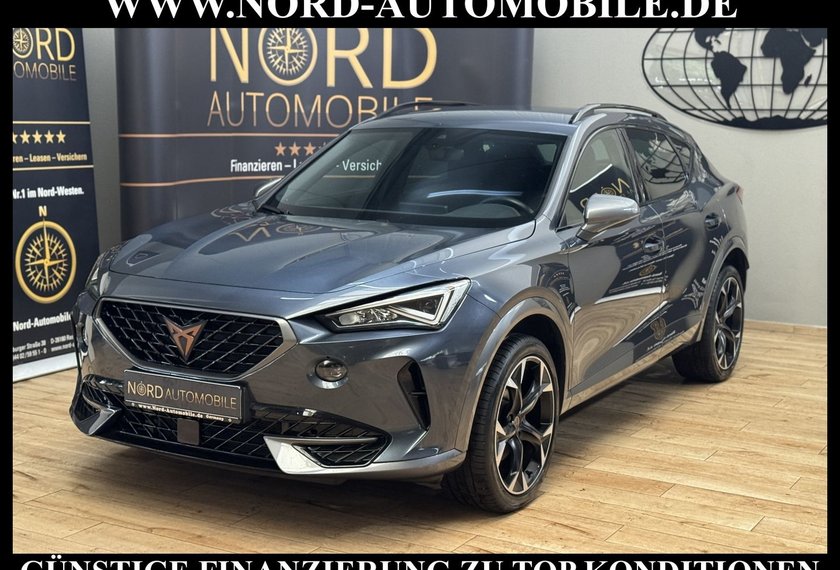 Cupra Formentor Formentor 2.0 TDI DSG AHK/Beats/19/StHz/Navi/