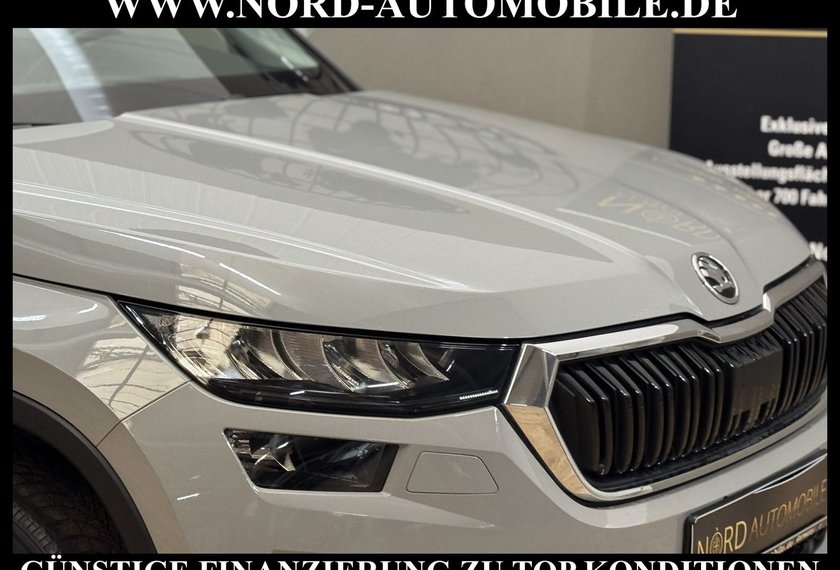 Skoda Kodiaq Kodiaq Ambition 2.0 TDI DSG Kamera/LED/17