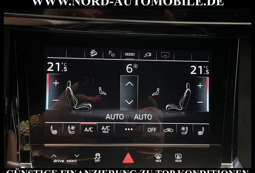 Audi e-tron e-tron 50 QU.S-Line Teilleder/Kamera/Navi/21