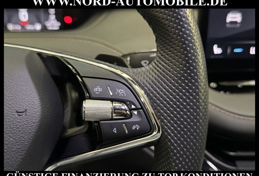 Skoda Enyaq Enyaq iV 80 x Founders Edition Suite AHK/21/Wärm