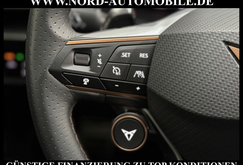 Cupra Formentor Formentor VZ 2.0 TSI DSG Kamera/AHK/19/Navi/LED