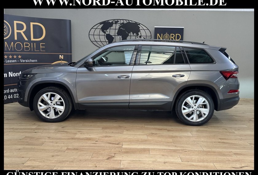 Skoda Kodiaq Kodiaq 2.0 TDI DSG Tour Virt.Cockpit/AHK/Kamera/