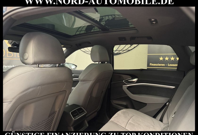 Audi e-tron e-tron 55 QU.S-Line Pano/AHK/HeadUp/21/B&amp;O/Kamer