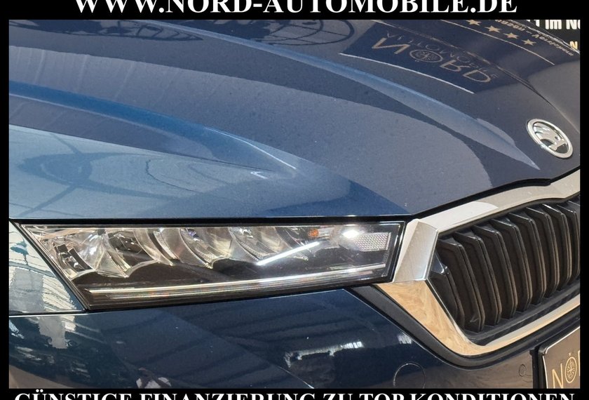 Skoda Octavia Octavia Combi Ambition 2.0 TDI DSG Navi/ACC/17