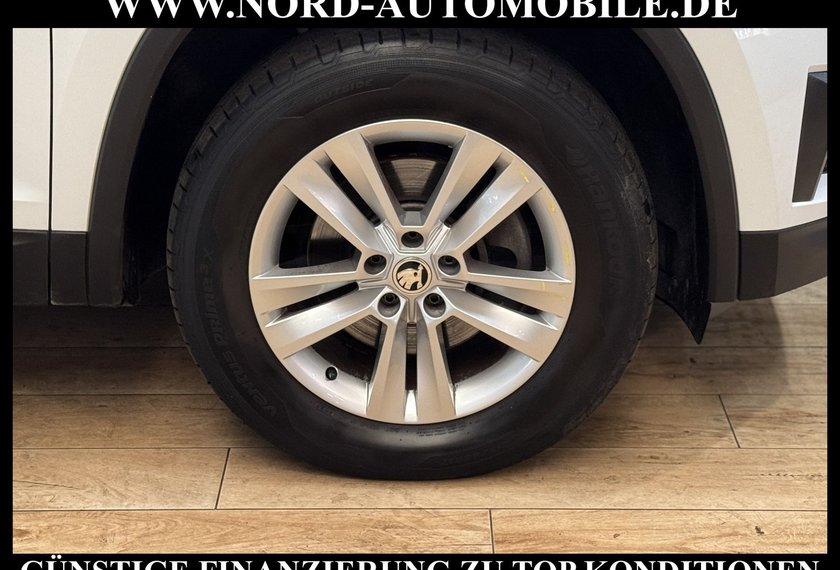 Skoda Kodiaq Kodiaq 2.0 TDI Ambition 4x4 DSG StHz/Pano/LED/
