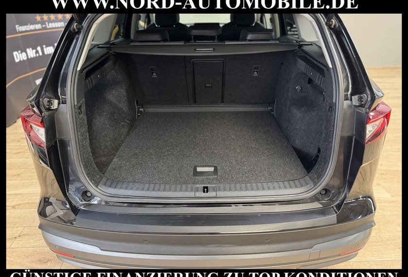 Skoda Enyaq Enyaq iV 60 Loft Kamera/20/Matrix/Wärmepumpe