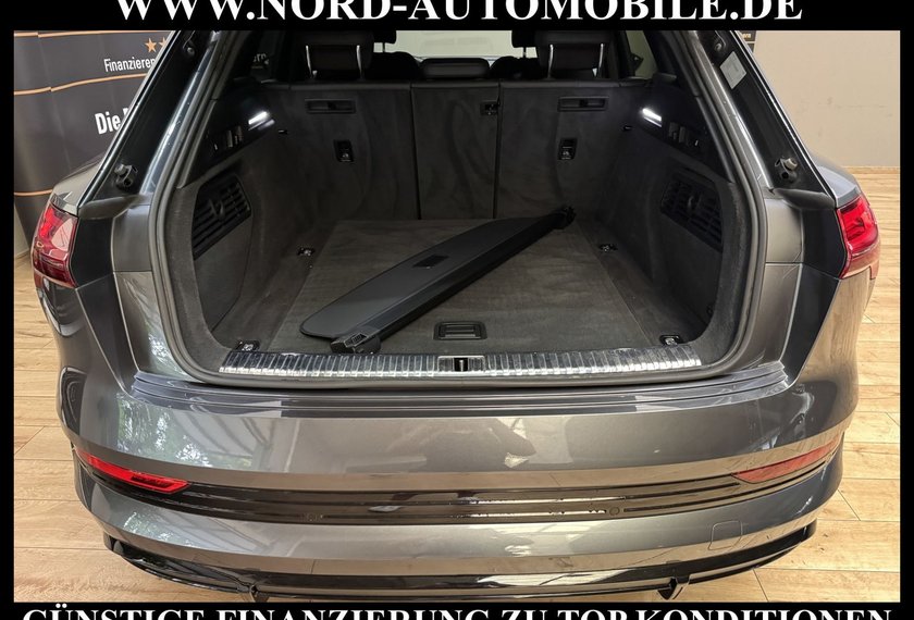 Audi e-tron e-tron 55 QU.S-Line AHK/21/Matrix/Kameras/Navi/