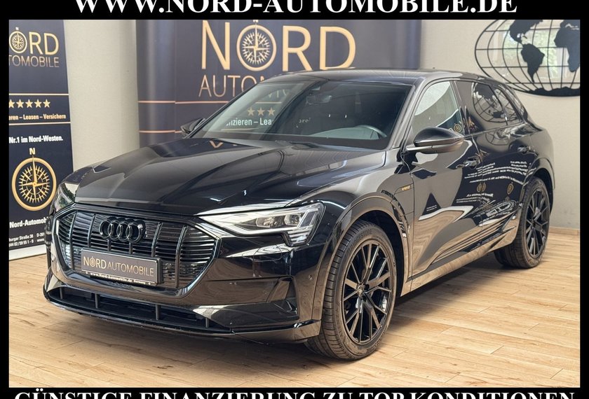 Audi e-tron e-tron 50 QU.Advanced S-Line Matrix/Kamera/21/