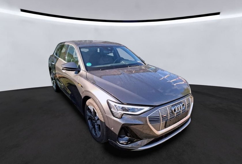 Audi e-tron e-tron 55 QU. S-Line Kamera/Navi/LED/SHZ/20