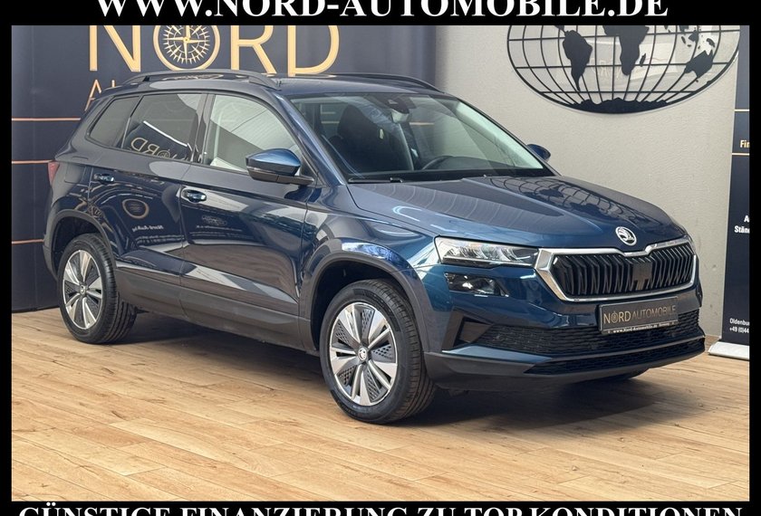 Skoda Karoq Karoq Business 2.0 TDI DSG Virt.Cockpit/Kamera/
