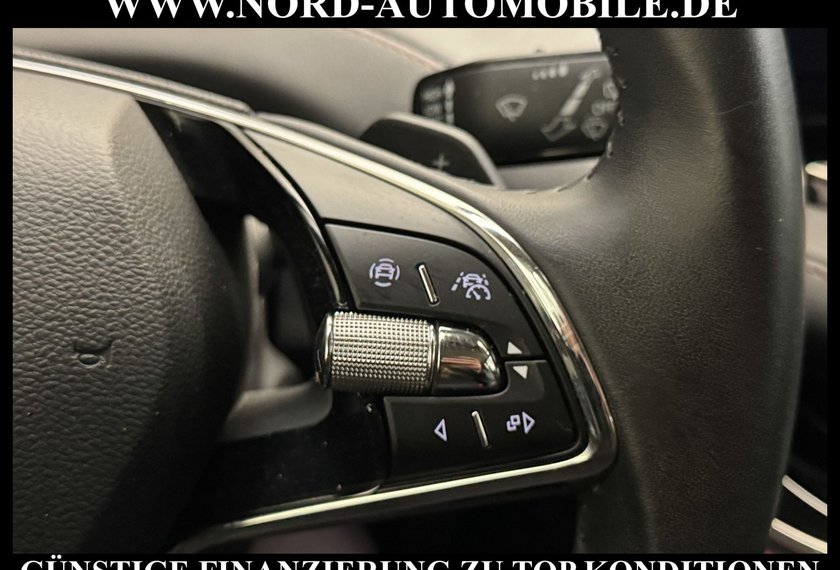 Skoda Enyaq Enyaq iV 60 Suite Leder/Kamera/Side&amp;Lane/19