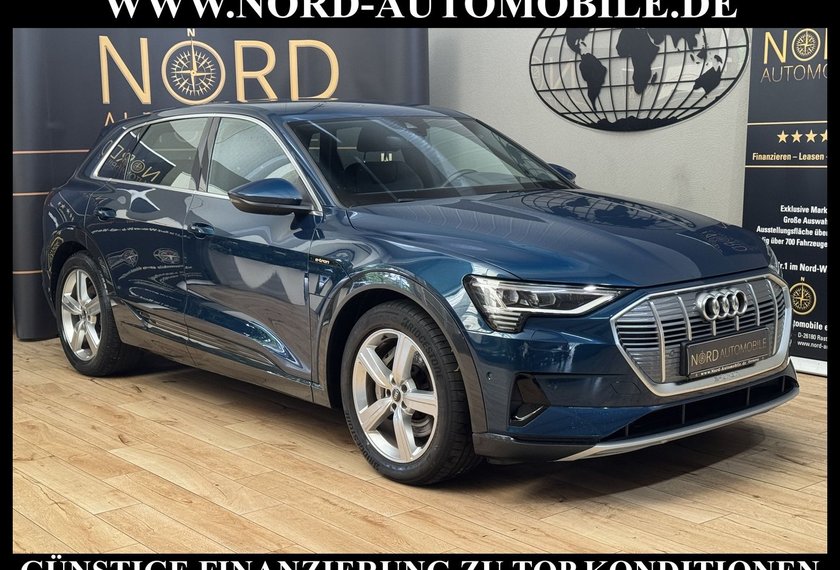 Audi e-tron e-tron 50 QU.S-Line Teilleder/Kamera/Head-Up/20