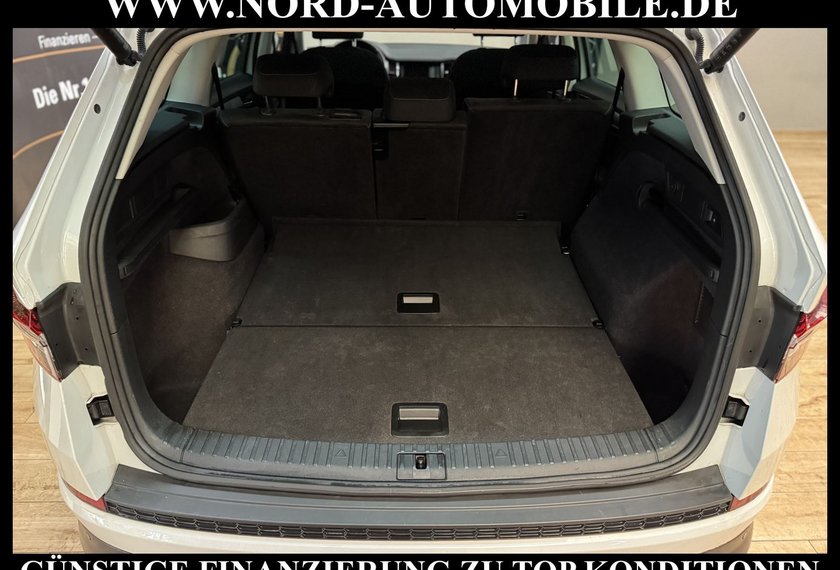 Skoda Kodiaq Kodiaq 2.0 TDI Ambition 4x4 DSG StHz/Pano/LED/