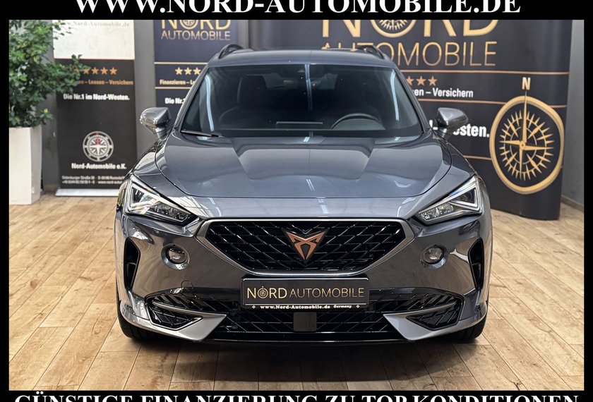 Cupra Formentor Formentor 2.0 TDI DSG AHK/Beats/19/StHz/Navi/