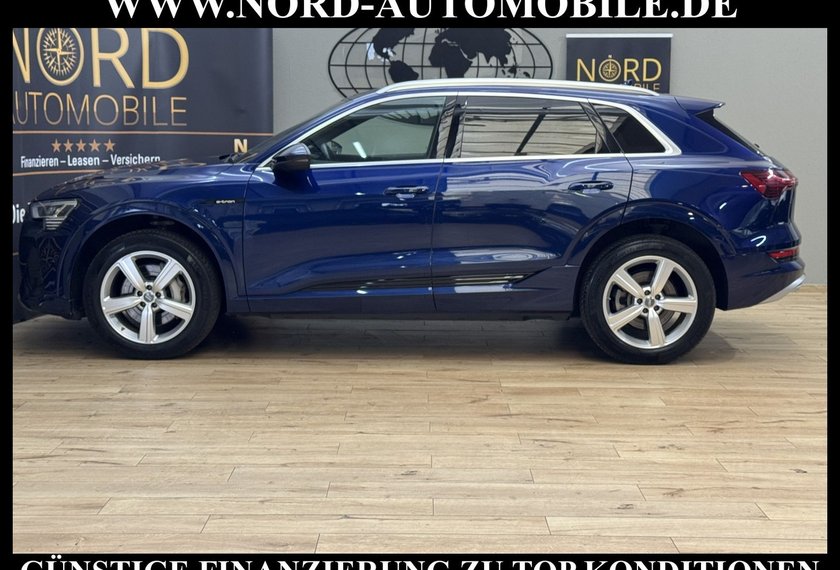 Audi e-tron e-tron 55 QU.S-Line Head-Up/Matrix/Side&amp;Lane/20