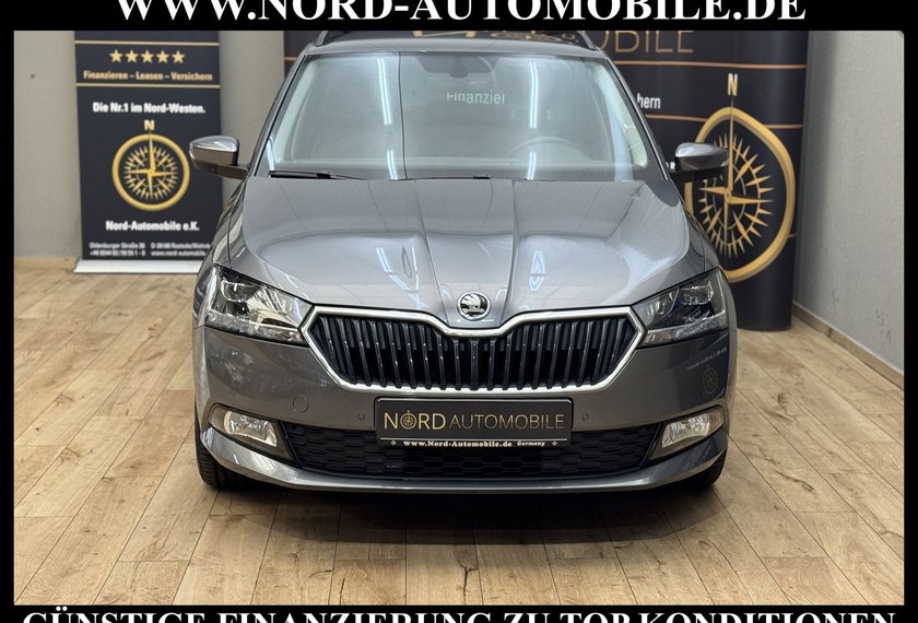 Skoda Fabia Fabia Combi 1.0 TSI Garantie09.2027/Navi/LED/PDC