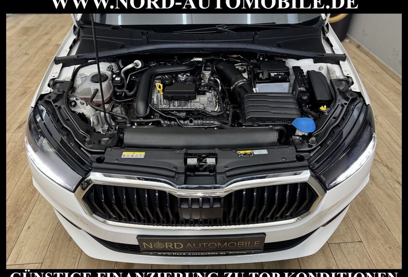 Skoda Fabia Fabia Ambition 1.0 TSI DSG Navi/LED/PDC/