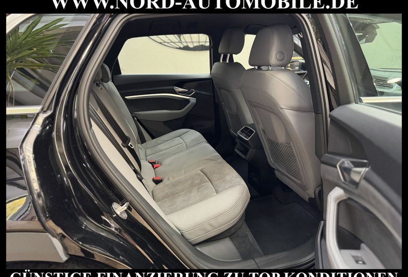 Audi e-tron e-tron 50 S-Line Int. Teilleder/AHK/Matrix/B&amp;O/
