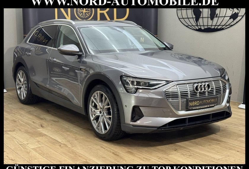 Audi e-tron e-tron QU. Teilleder/Kamera/21/Navi/LED/UPE83/
