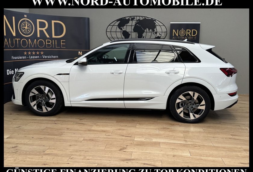 Audi e-tron e-tron 50 QU.S-Line Teilleder/Kamera/LED/Navi/20