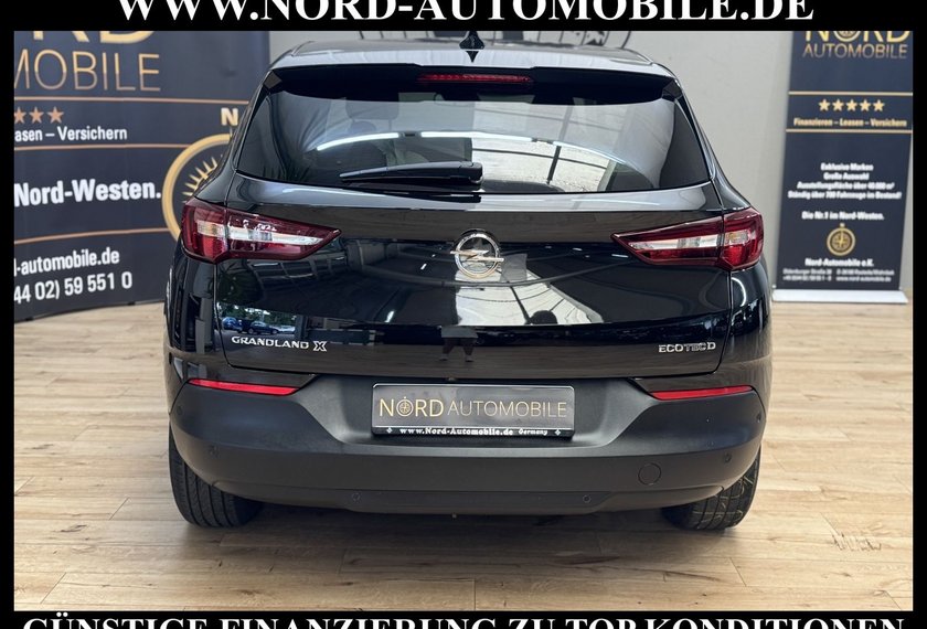 Opel Grandland (X) Grandland 1.5 D Business *AHK*LED*360°*4xSHZ*NAV
