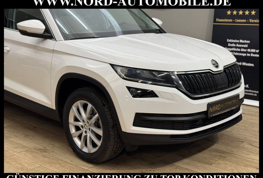 Skoda Kodiaq Kodiaq Style 2.0 TDI DSG Side&amp;Lane/Virt.Cockp/18