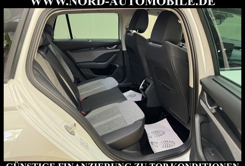 Skoda Octavia Octavia Combi eTSI DSG SELECTION LODGE*STHZ*AHK*