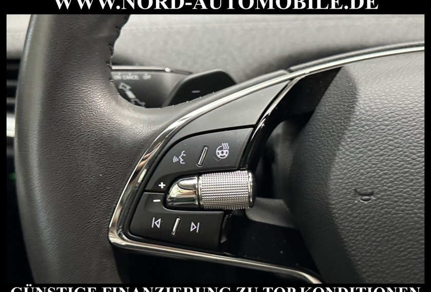 Skoda Enyaq Enyaq iV 80 Loft Wärmepumpe/20/Navi/LED