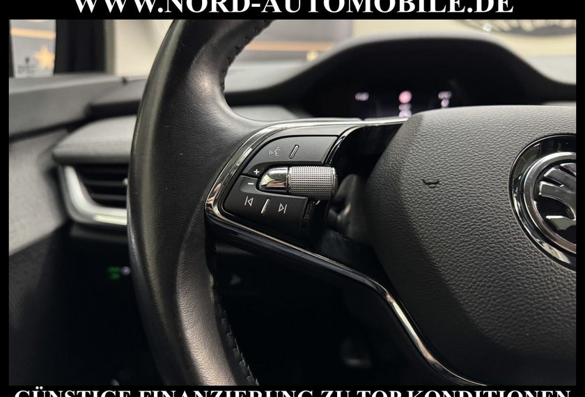 Skoda Enyaq Enyaq iV 60 Loft Pano/Kamera&amp;Navi/LED/19