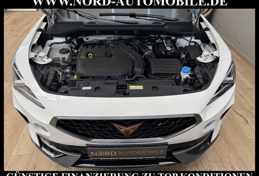 Cupra Formentor Formentor 1.5 TSI DSG Kamera/Navi/LED/ACC/18