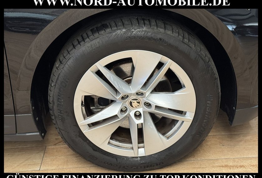 Skoda Enyaq Enyaq iV 60 Eco-Suite Leder/Wärmepumpe/19