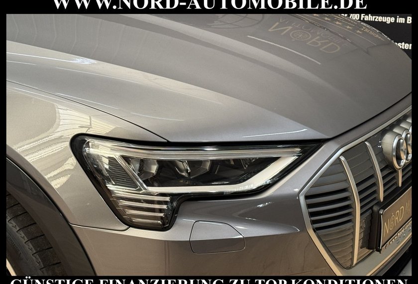 Audi e-tron e-tron 50 QU.Advanced Leder/AHK/Kamera/Matrix