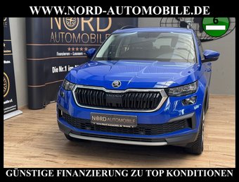 Skoda Kodiaq Kodiaq Active 2.0 TDI DSG LED/AHK/SHZ