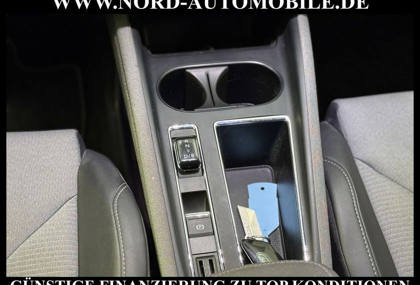 Skoda Enyaq Enyaq iV 80 Loft Automatik Kamera/Matrix/Navi/19