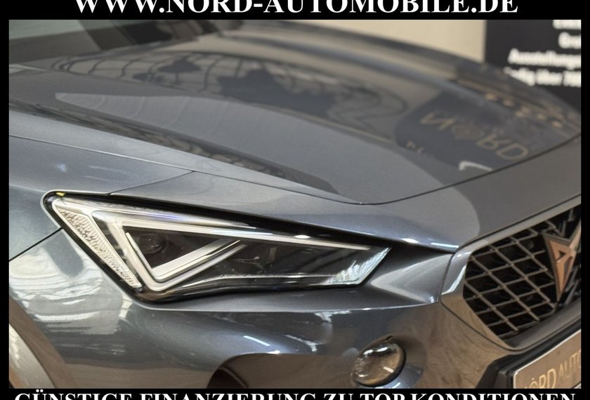 Cupra Formentor Formentor VZ 2.0 TSI DSG Matrix/Kamera/Beats/19
