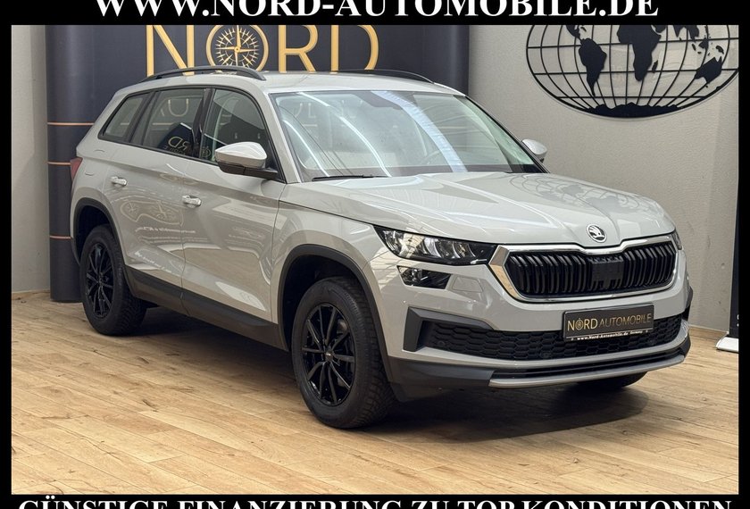 Skoda Kodiaq Kodiaq Ambition 2.0 TDI DSG Kamera/LED/17