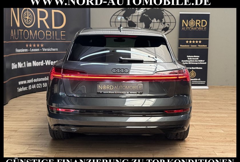 Audi e-tron e-tron 50 QU.S-Line Teilleder/Kamera/Navi/21